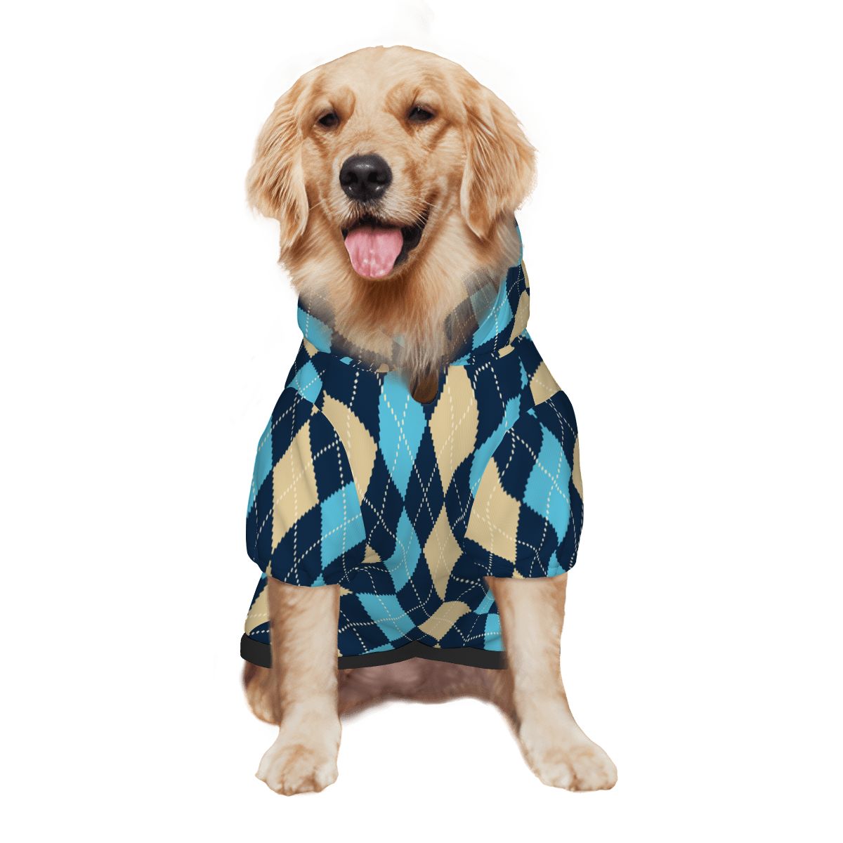 Dog wearing Blue and Yellow Argyle Pet Hoodie Side View