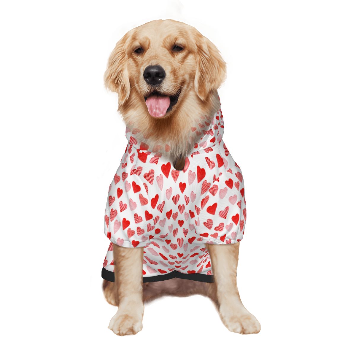 Dog wearing Heart in Hearts Pet-Only Hoodie (Add-On) pet hoodie
