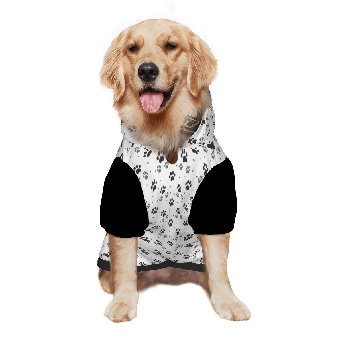 Dog wearing Thinks I'm Cute Pet Hoodie Side View 2