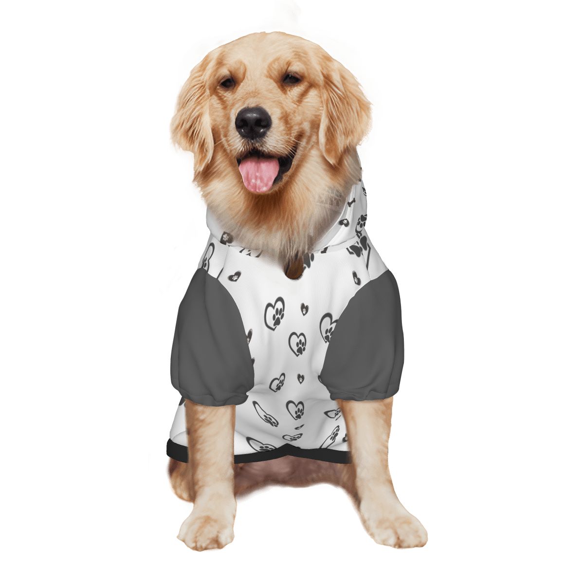 Dog wearing  Always Judging My Pawrent  side view 2