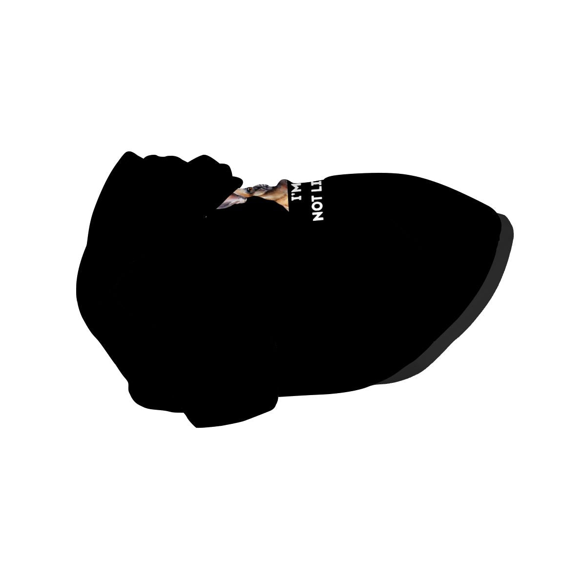 Pet  wearing I Hear You, I’m Just Not Listening Funny French Bulldog Hoodie Pet Only (Add-on) pet hoodie