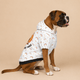 In The Driver's Seat Pet Hoodie - Pet