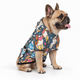 It's Okay Not To Have It All Together Pet Hoodie