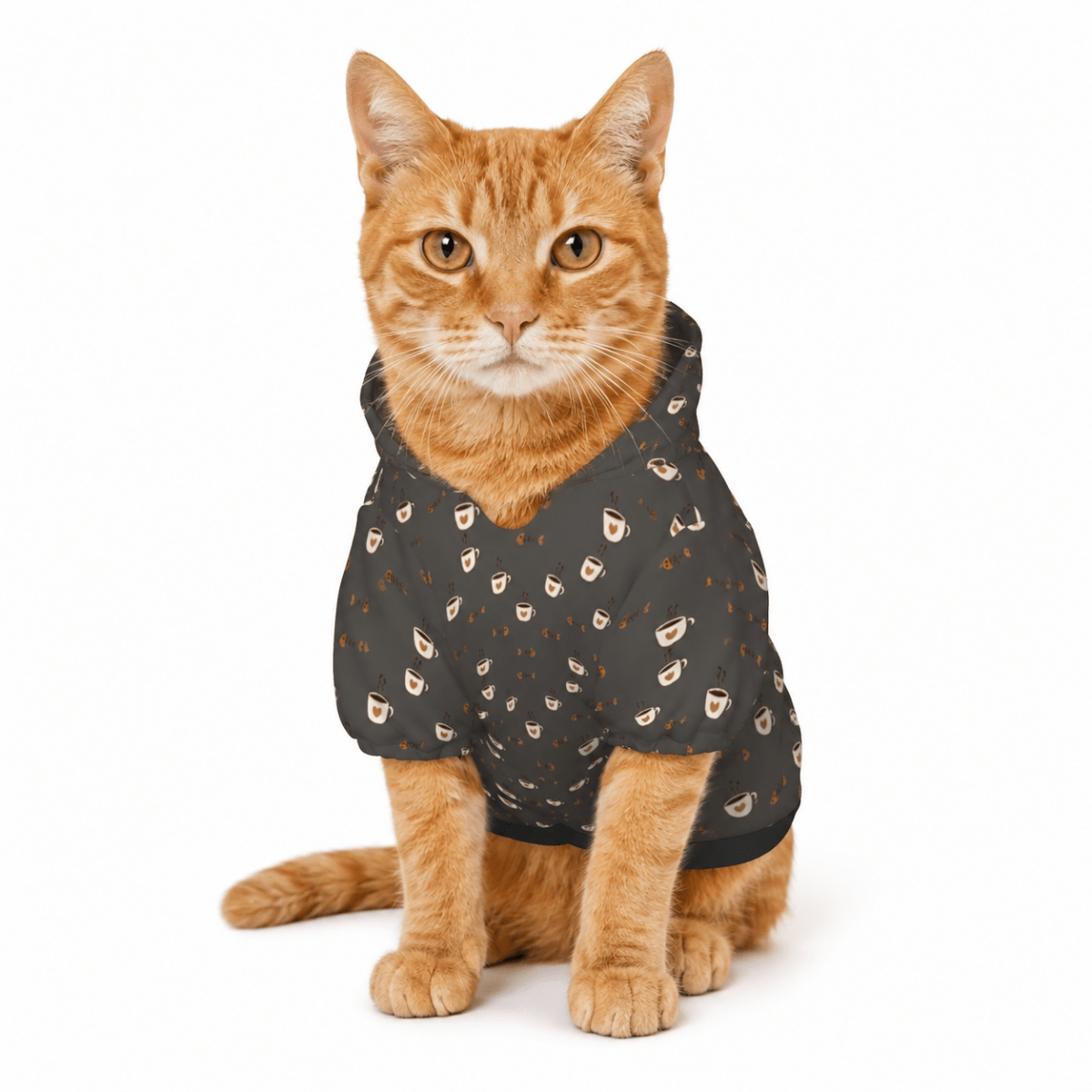 Mama Needs Coffee Cat and Owner Hoodie Set - FluffnCoPigment BlackxsS