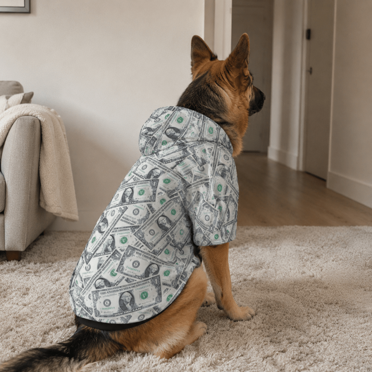Money Print All Over Design Pet and Human Hoodie Set - FluffnCoSSAOPmatching