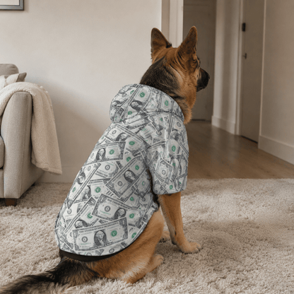 Money Print All Over Design Pet and Human Hoodie Set - FluffnCoSSAOPmatching