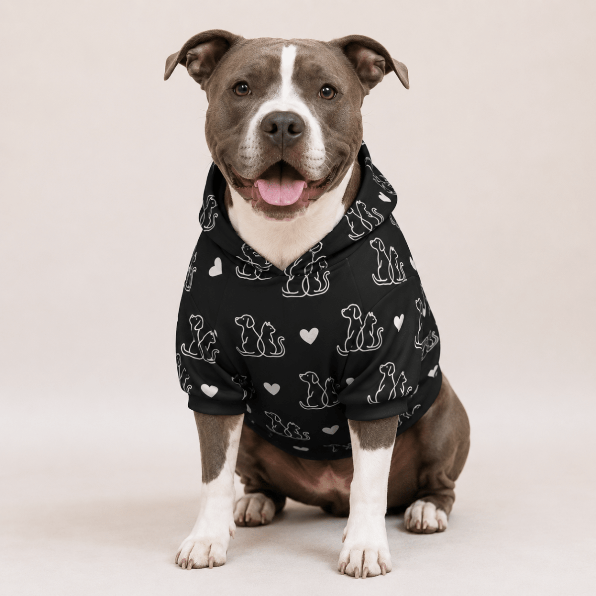 Pawrent & Family Pet and Human Hoodie Set - FluffnCoblackxsS