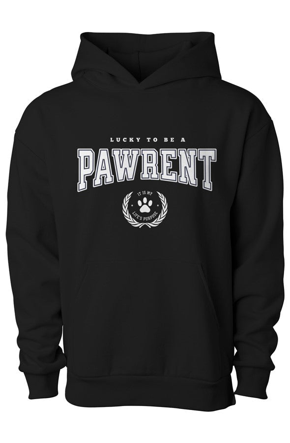 Pawrent Matching Dog & Owner Hoodie Set - FluffnCoblackxsS