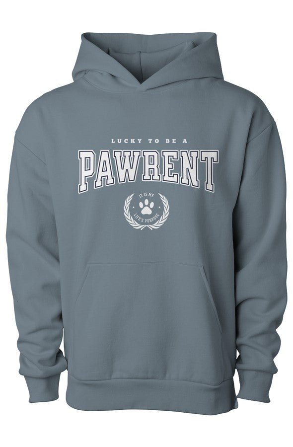 Pawrent Matching Dog & Owner Hoodie Set - FluffnCoBlue MagicxsS
