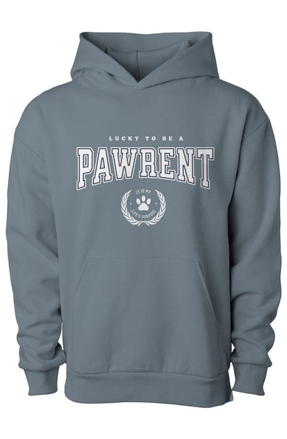 Pawrent Matching Dog & Owner Hoodie Set - FluffnCoBlue MagicxsS