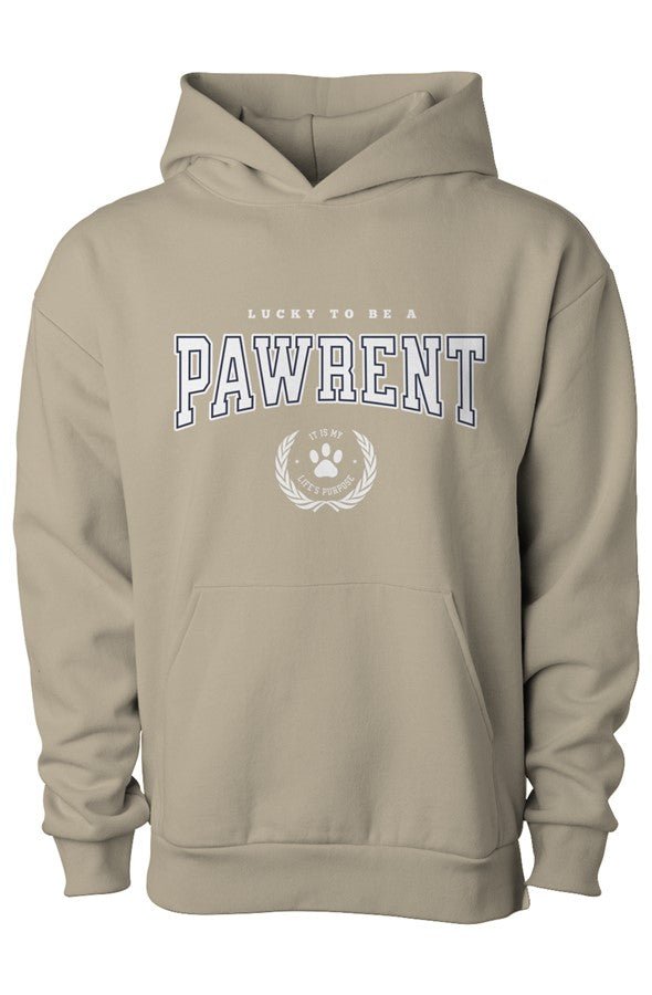Pawrent Matching Dog & Owner Hoodie Set - FluffnCoSandstonexsS