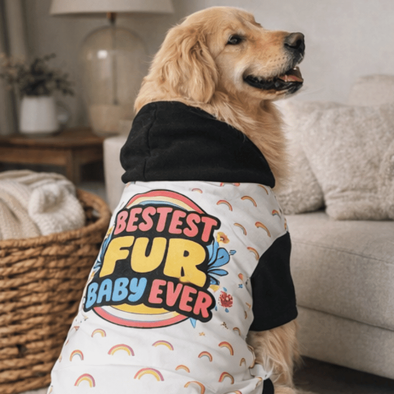 Dog wearing a shirt with 'Bestest Fur Baby Ever' text in a living room setting