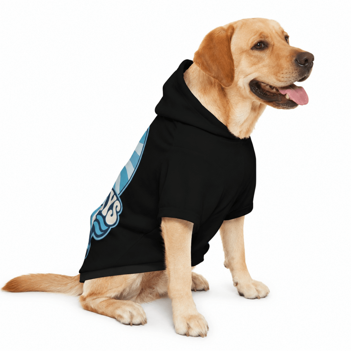 Rough Survivor & Fairways and Fur Pet and Owner Hoodie Set - FluffnCoblackxsS