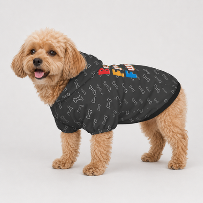 With my BFF Pet and Owner Hoodie Set
