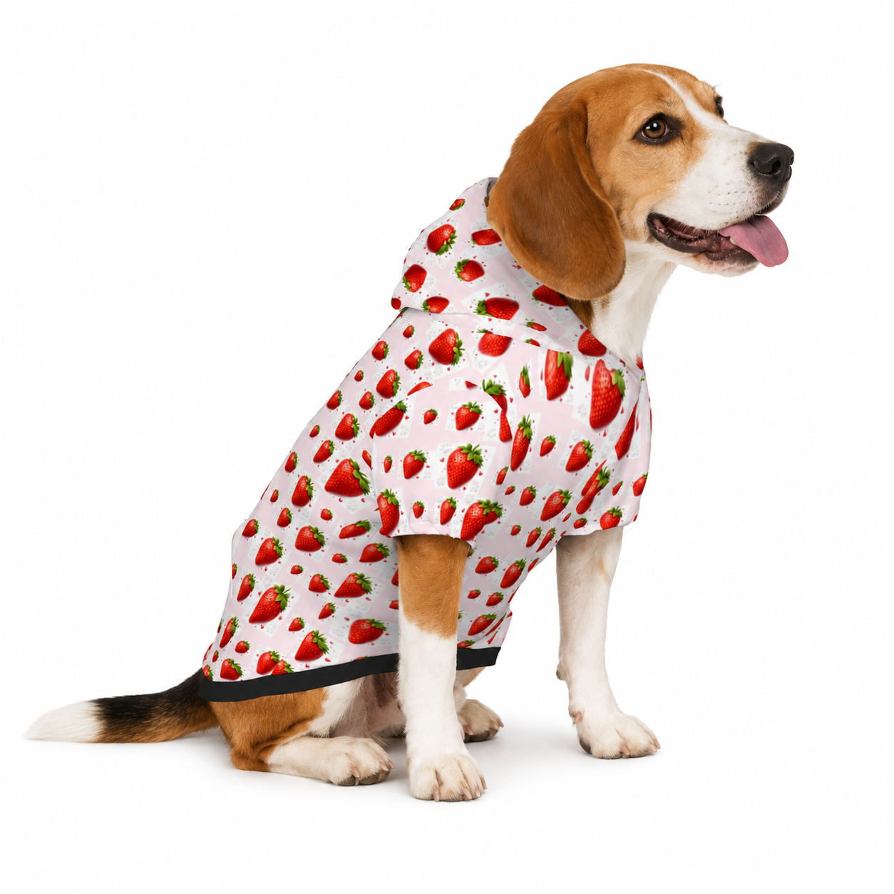 Strawberry Pet and Owner Hoodie Set