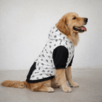 I Love Sloppy Kisses