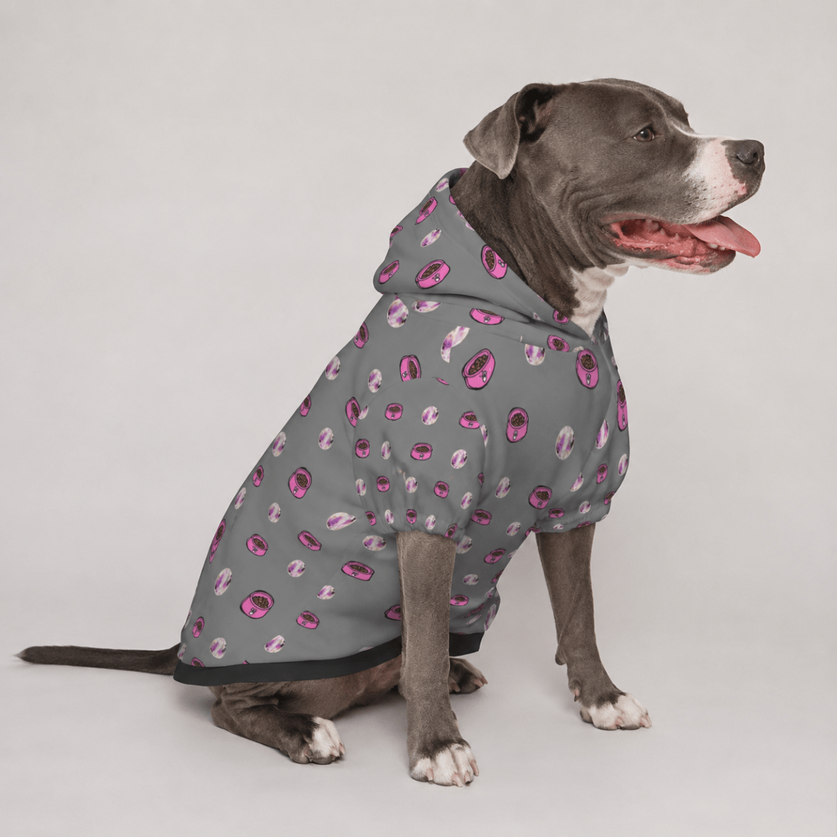 In My Fur Era & Food Era Pet and Human Hoodie Set - FluffnCoSBlackxsmatchingset
