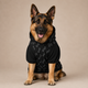 I am the Favourite Pet Hoodie