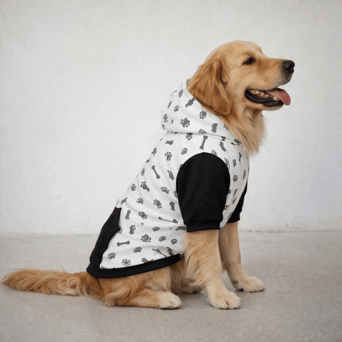 Dog wearing a black and white hoodie with paw print pattern on a light gray background