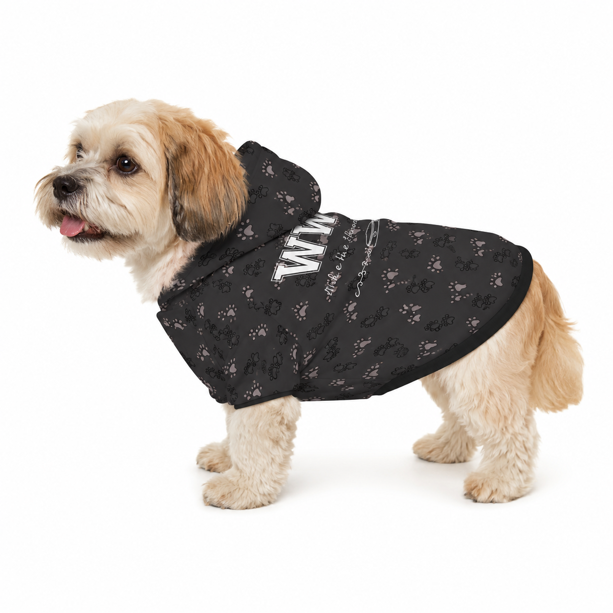Dog wearing a black coat with paw print pattern on a white background