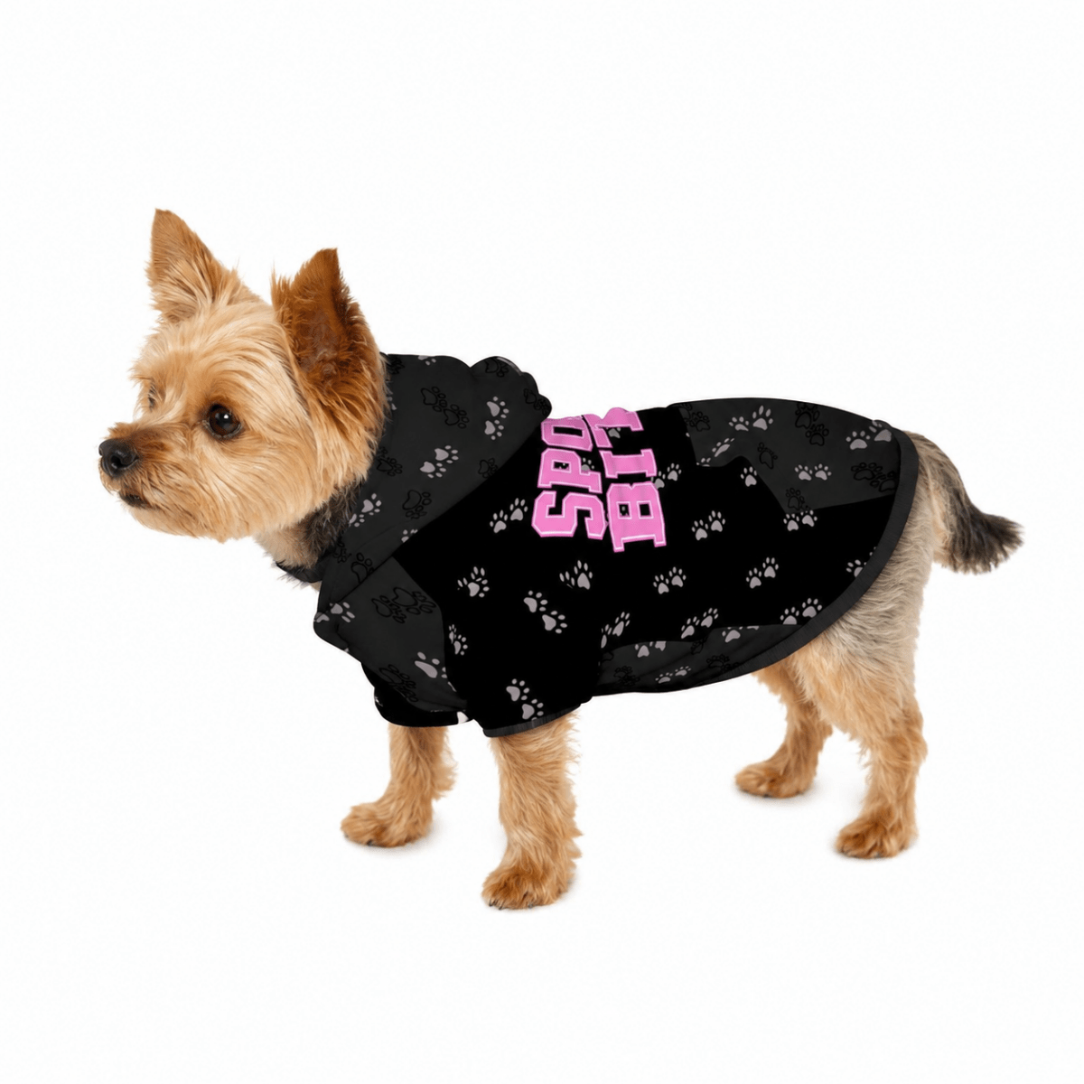 Spoiled Bitch Pet and Owner Matching Hoodie Set - FluffnCoGrey HeatherxsS
