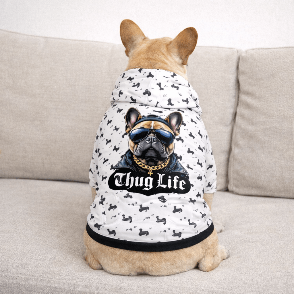 Dog wearing a hoodie with a graphic design and text on a couch