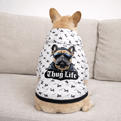 Dog wearing a hoodie with a graphic design and text on a couch